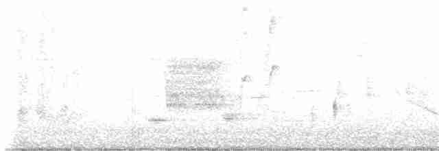 střízlík karolínský [skupina ludovicianus] - ML619288675