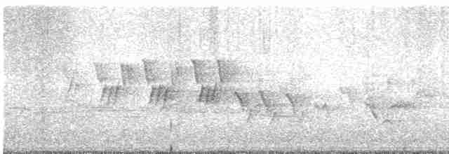 Черногорлая хвойница - ML619288768