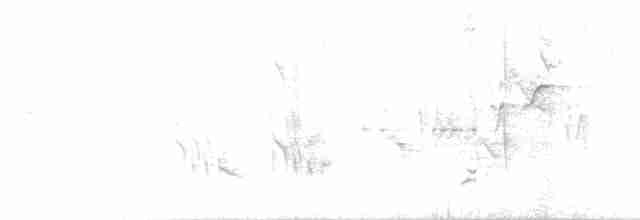 Paruline à flancs marron - ML619289592