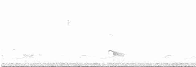 אנפית ירוקה - ML619289614