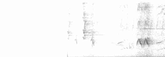 Тремблер прямодзьобий - ML619289643