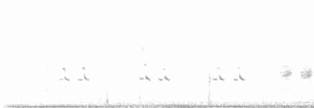 Oriole des vergers - ML619290297