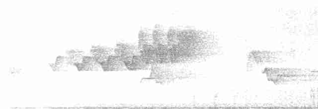Cerulean Warbler - ML619290656