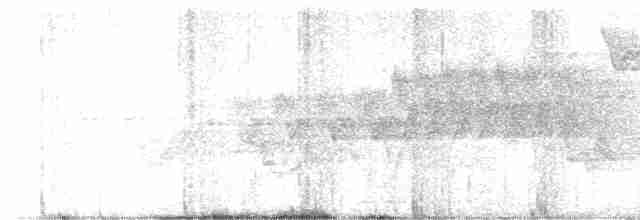 Cerulean Warbler - ML619290870