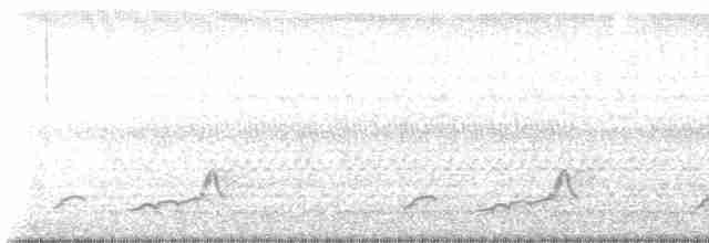 Schwarzkehl-Nachtschwalbe - ML619291474