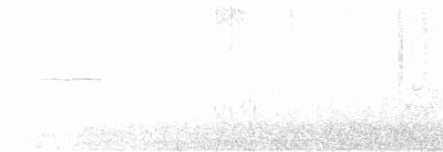 ムナジロアマツバメ - ML619291711
