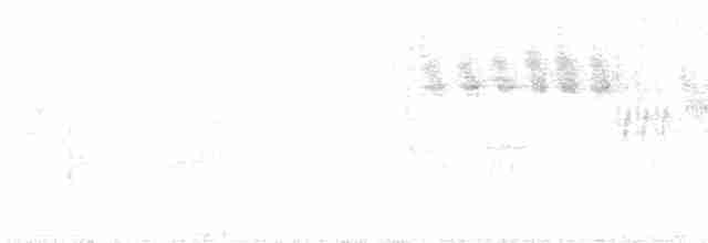 Голубокрылая червеедка - ML619292258