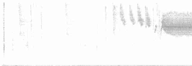 Голубокрылая червеедка - ML619292261