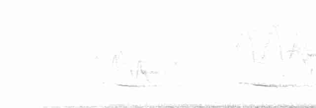 Cerulean Warbler - ML619293161