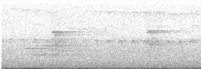 strakapoud americký [skupina villosus] - ML619293172