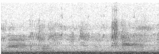 Double-crested Cormorant - ML619293836