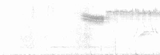 "Желтокрылая x Голубокрылая червеедка (гибрид, Brewster's)" - ML619294003