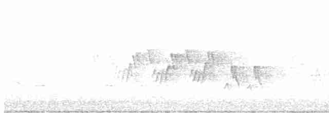 Черногорлая хвойница - ML619294635