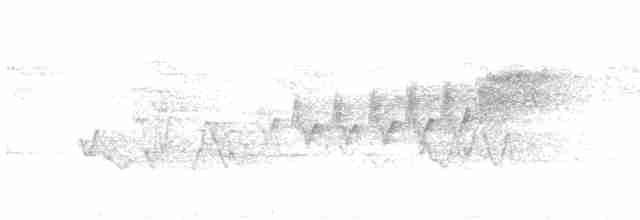 Cerulean Warbler - ML619294809