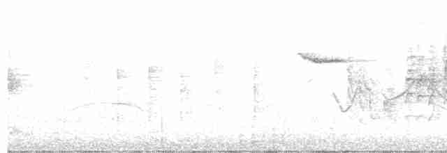 Marsh Warbler - ML619294932