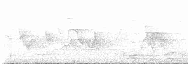 Cerulean Warbler - ML619295053
