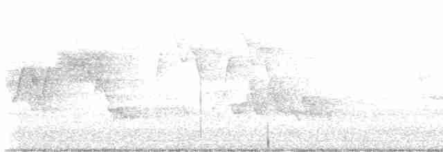 Cerulean Warbler - ML619295060