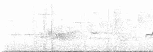 Cerulean Warbler - ML619295061