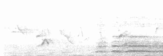 holub rezavokřídlý - ML619295576