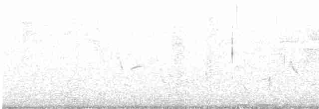 Swainson's Warbler - ML619296001