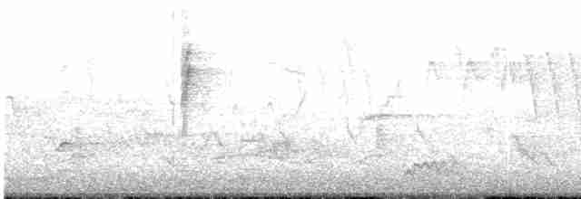 Черногорлая хвойница - ML619296134