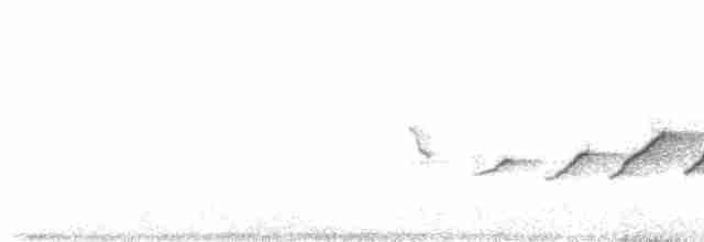 Hooded Warbler - ML619296303