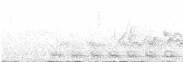 Trogon élégant (groupe ambiguus) - ML619296399