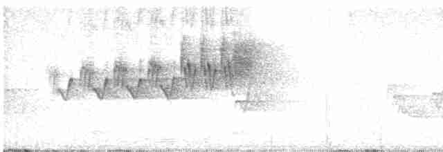 Cerulean Warbler - ML619296402