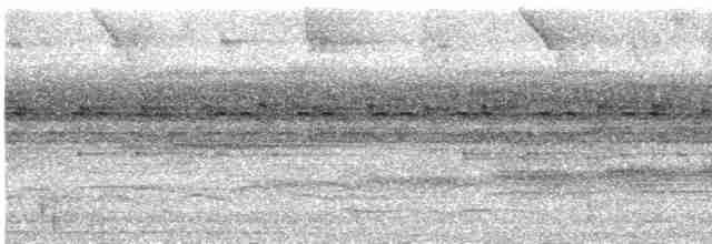svarthakemaurvarsler - ML619296548