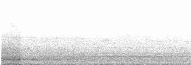 Дрізд-короткодзьоб канадський - ML619296632