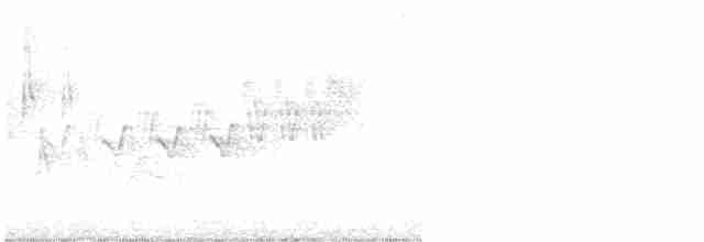 Cerulean Warbler - ML619296748