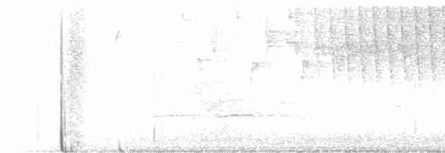 lesňáček modropláštíkový - ML619296782