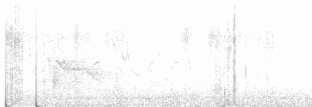 Сероголовый виреон - ML619297057