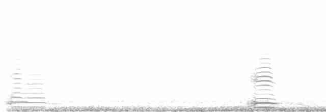 Cisne Trompetero - ML619297127