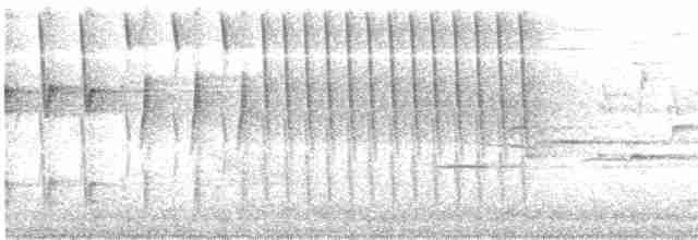 Дрізд-короткодзьоб плямистоволий - ML619297224