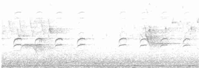 křivka bělokřídlá - ML619297232