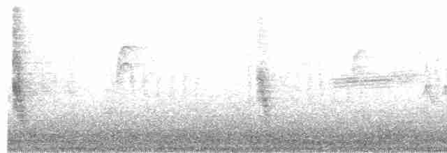 Sinsonte Norteño - ML619297334