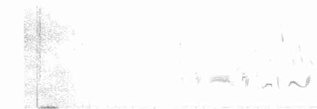 Western Orphean Warbler - ML619297762