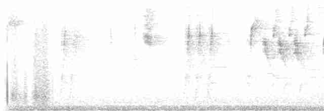 Kara Gözlü Junko (hyemalis/carolinensis) - ML619298870