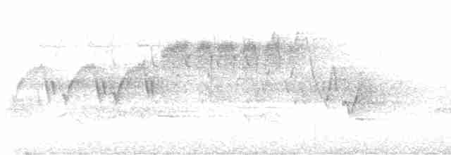 Cerulean Warbler - ML619299264