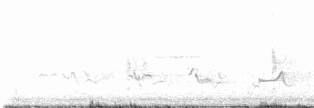 Paruline à poitrine baie - ML619300357