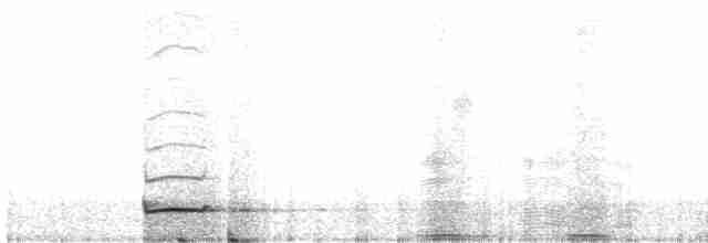 dverghornugle - ML619300409