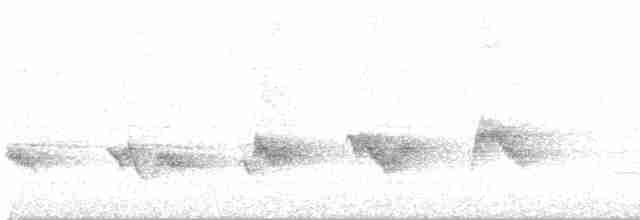 Piranga écarlate - ML619300624