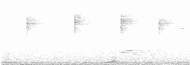Paruline à gorge noire - ML619300977
