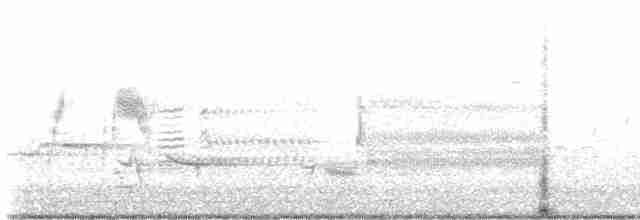 Болотный крапивник - ML619301407