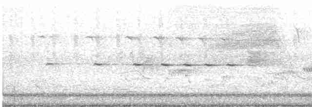 גיבתונית רוננת - ML619301793