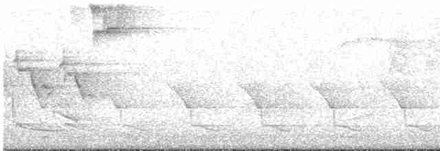 Kızılağaç Sinekkapanı - ML619302028