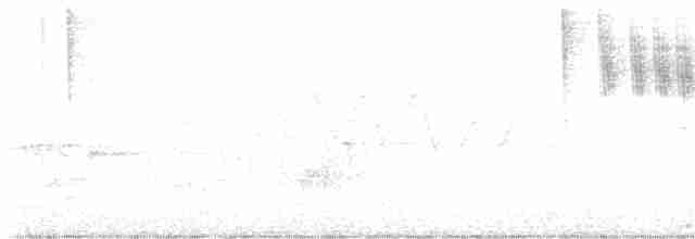 Желтокрылая червеедка - ML619302107