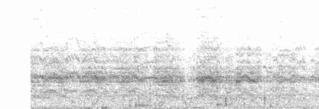 שחפית ים - ML619302227