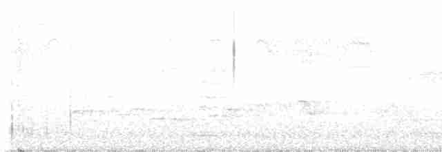 Малая вильсония - ML619302388